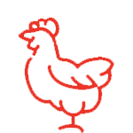 Hühner der Fleischerei Caniels